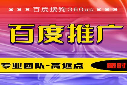 百度SEO与广告结合的多元化推广策略——多行业成功案例